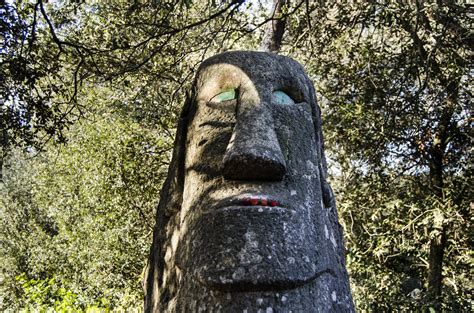 bosque encantado de orrius|El Bosque de Orrius: una excursión un tanto surrealista